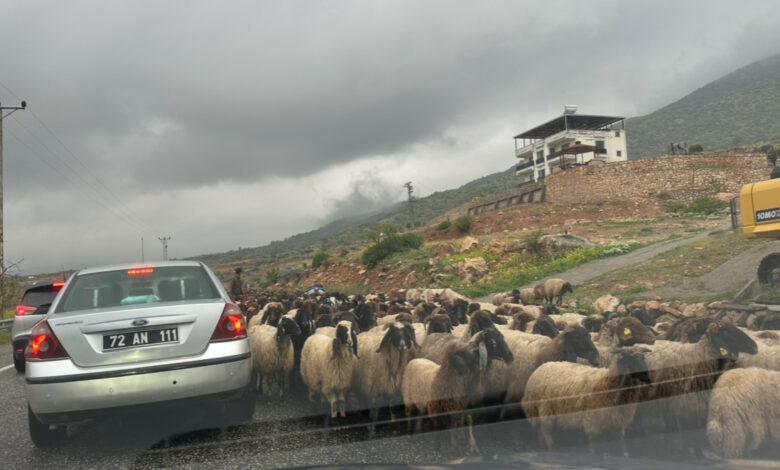Batman’da renkli yörük göçü manzaraları - Birlik Haber Ajansı