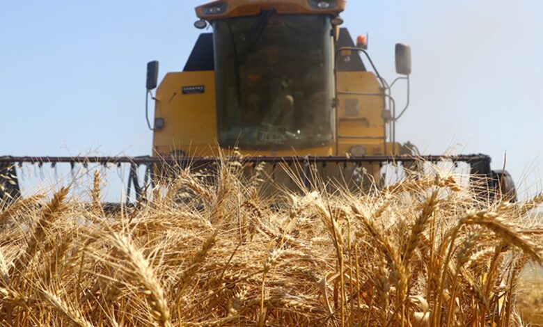 Kasım ayında üreticilere 376,8 milyon lira destek ödemesi yapıldı - Birlik Haber Ajansı